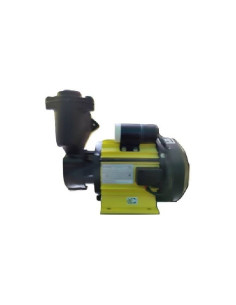 V-Guard NEON-F130 Centrifugal Water Pump  (1 HP)